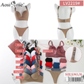 Conjunto de lencería-LV2219#