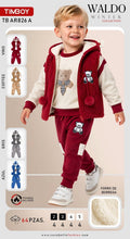 Conjunto de sudadera con capucha-TB AR826 A
